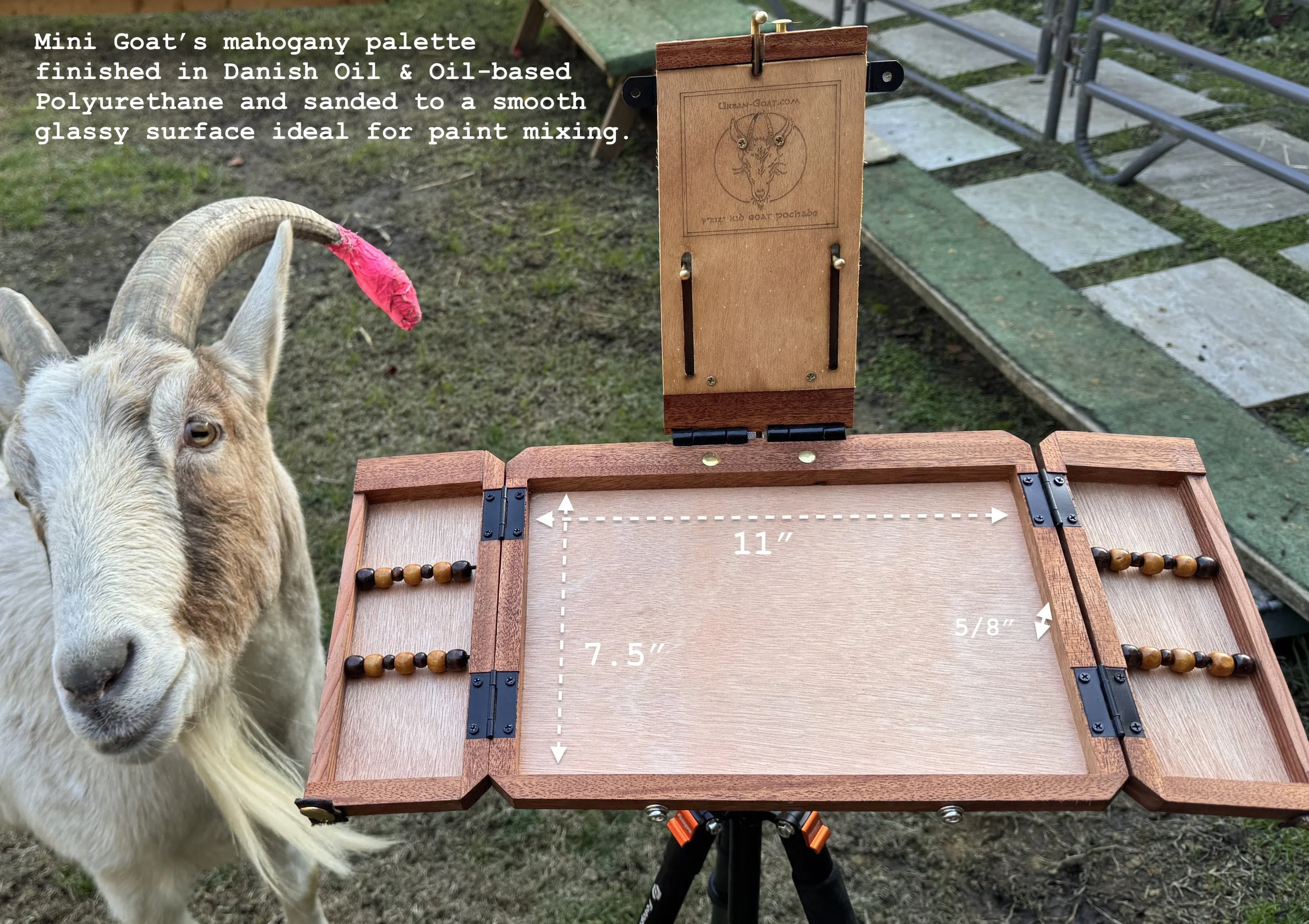 Mini Goat — THE URBAN GOAT